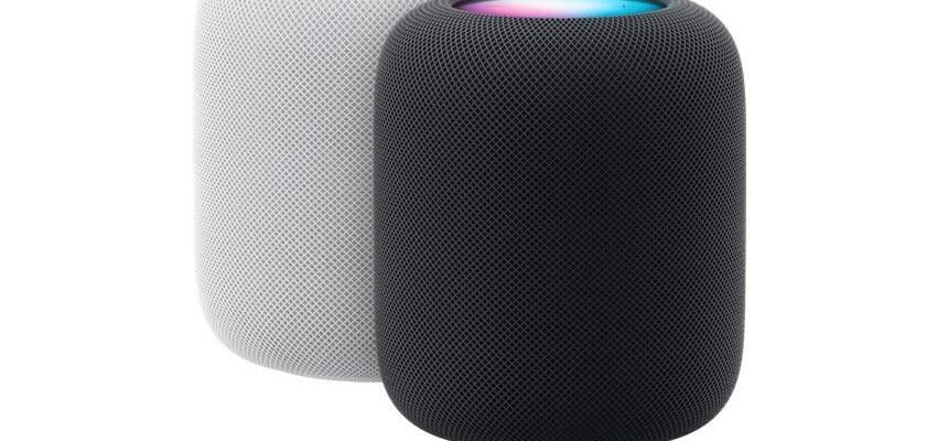 ¿Cuáles son las ventajas y los inconvenientes?